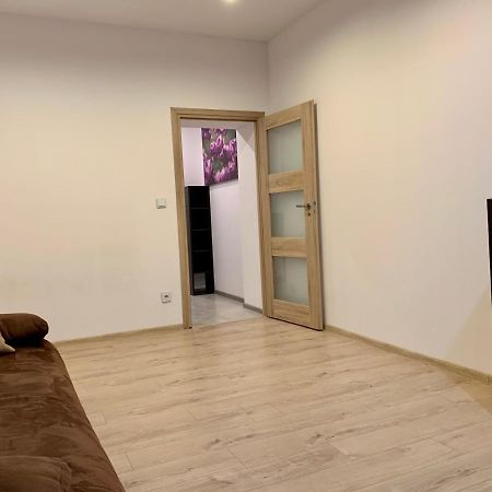 Felicjanek Apartment Kraków Exteriör bild